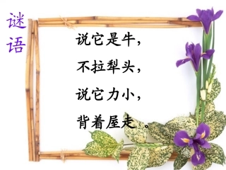 三年级语文上册-蜗牛-1课件-语文S版
