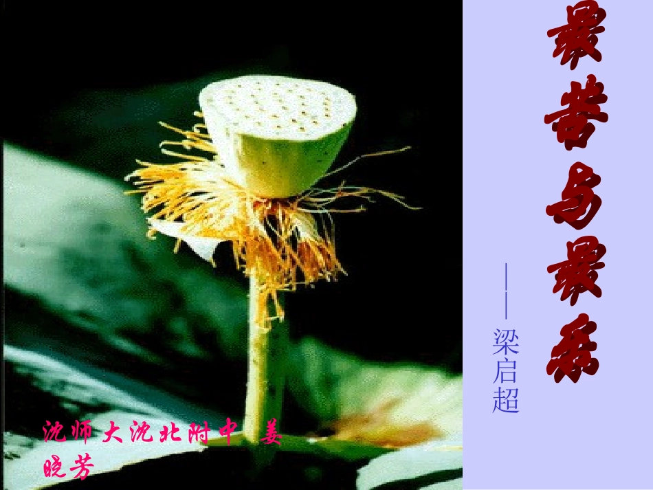 最苦与最乐课件_第1页