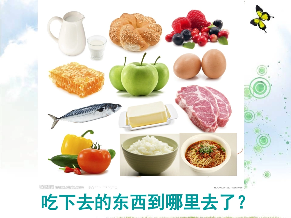 小豆子的旅行_第2页