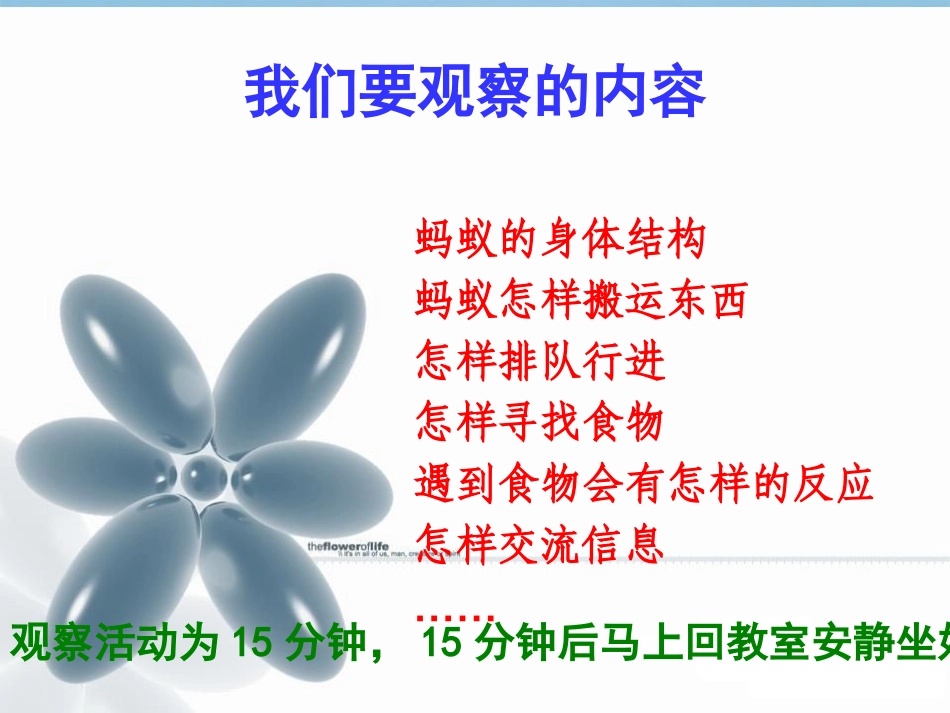 三年级科学下册_蚂蚁4课件_青岛版_第3页