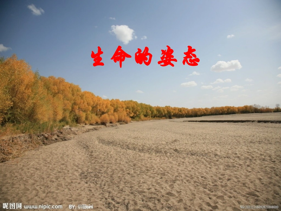 生命的姿态材料作文_第1页