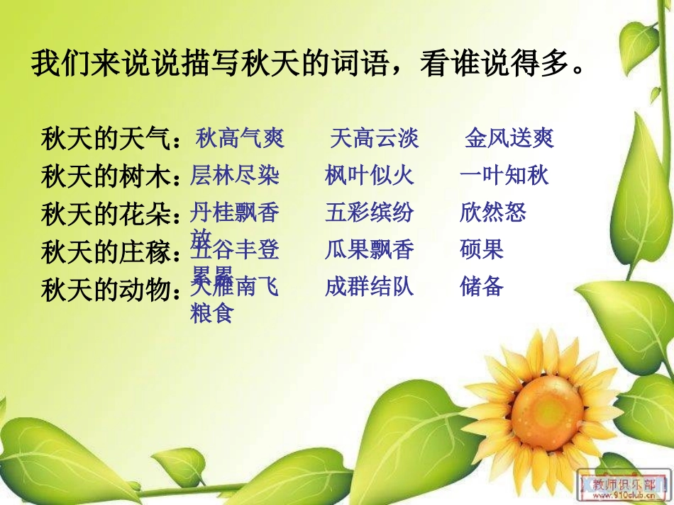 课件美丽的秋天_第3页