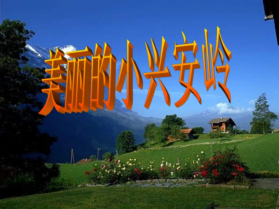 三年级-语文23美丽的小兴安岭PPT_第1页