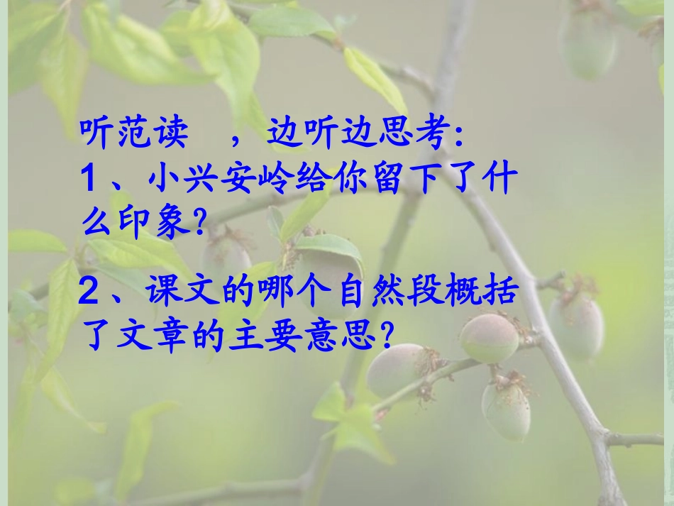 三年级-语文23美丽的小兴安岭PPT_第2页