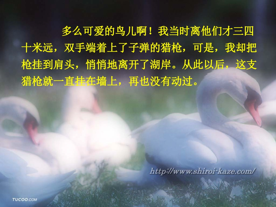 天鹅的故事课件_第2页