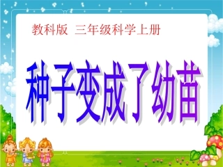 种子变成了幼苗