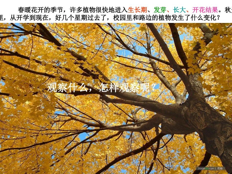 一6植物发生了什么变化_第2页