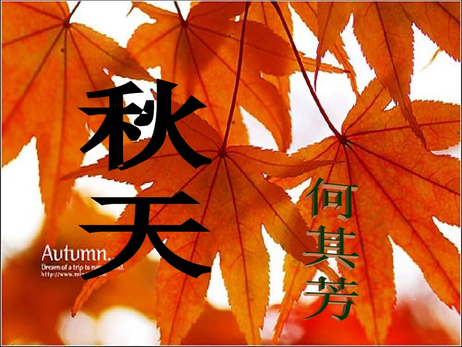 七年级语文上册 第十四课《秋天》课件 人教新课标版_第2页