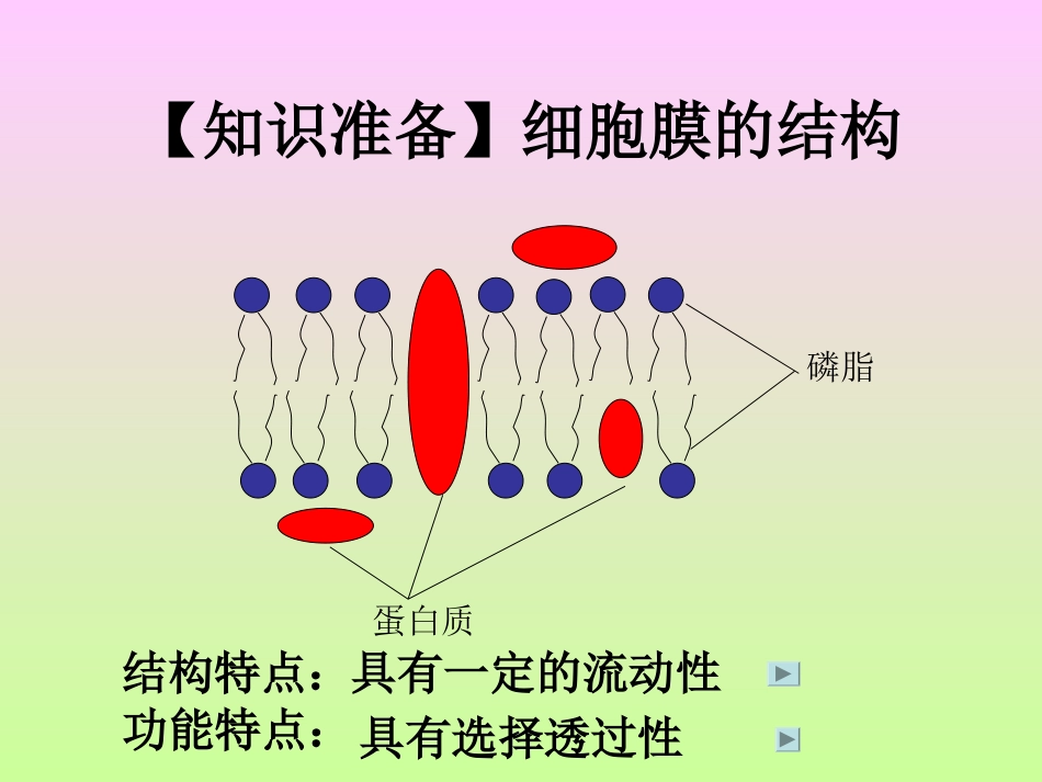 人教版教学课件第四章第三节-物质跨膜运输的方式(共37张PPT)_第1页