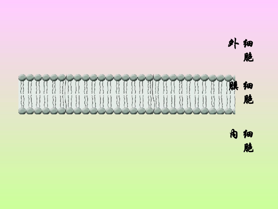 人教版教学课件第四章第三节-物质跨膜运输的方式(共37张PPT)_第3页
