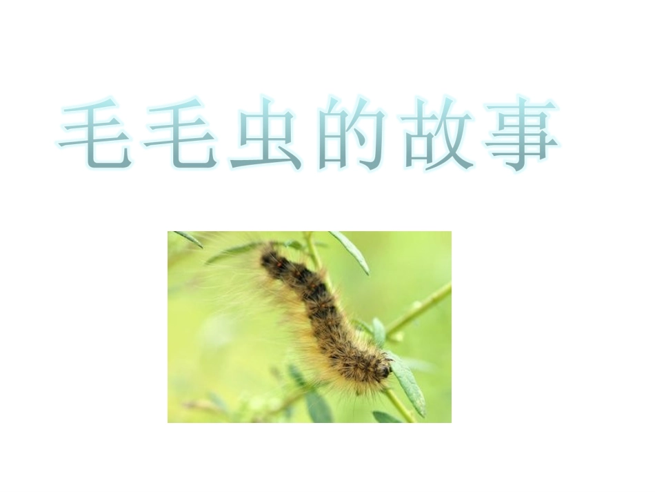 毛毛虫的故事生字课件_第2页