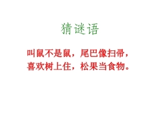 上课专用22《跑进家来的松鼠》优秀课件