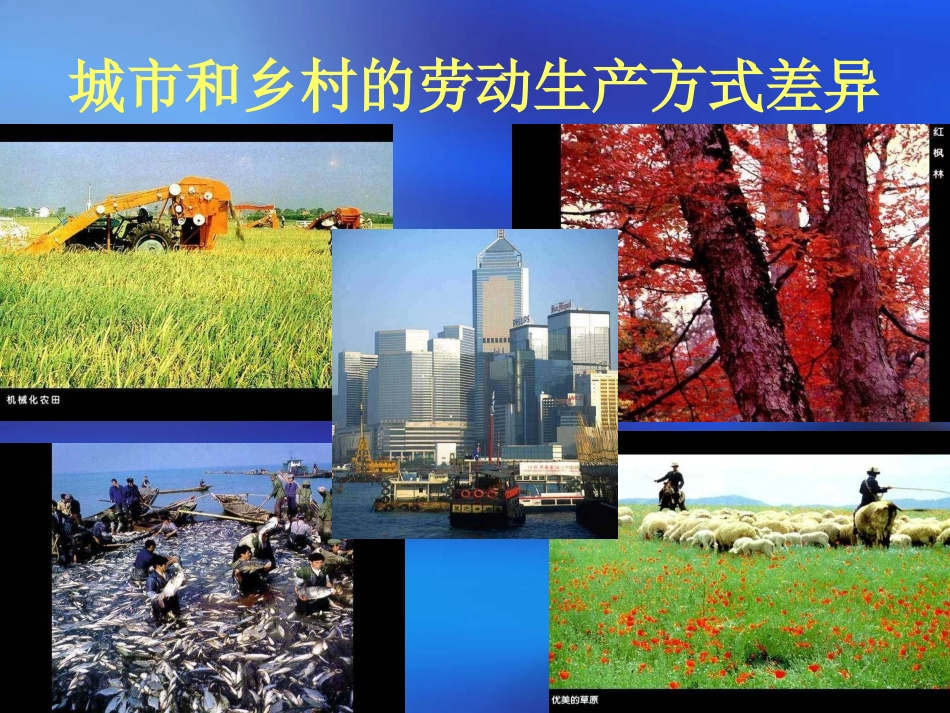 人类的聚居地—聚落_第3页