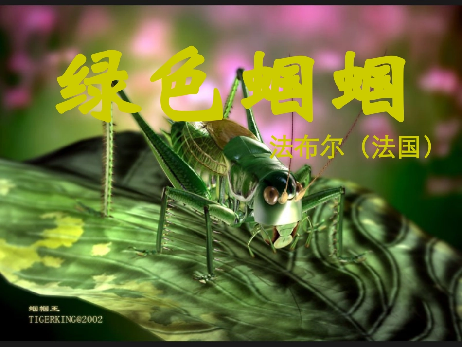 七年级语文上册《绿色蝈蝈》优秀课件（35页） 人教新课标版_第1页