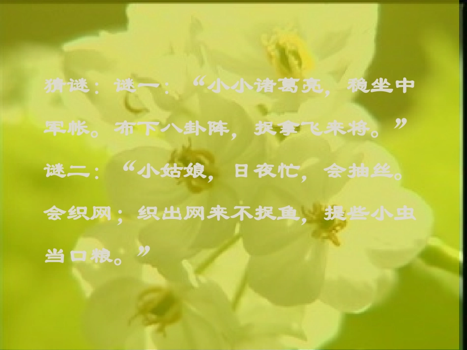 七年级语文上册《绿色蝈蝈》优秀课件（35页） 人教新课标版_第2页
