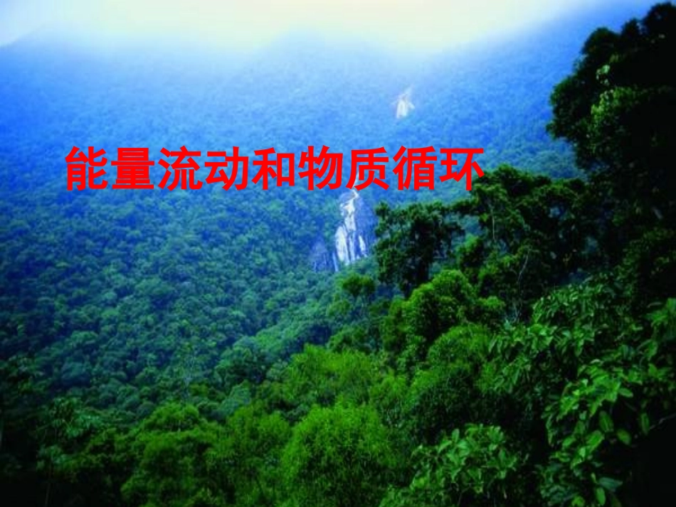 一轮复习——能量流动和物质循环_第1页