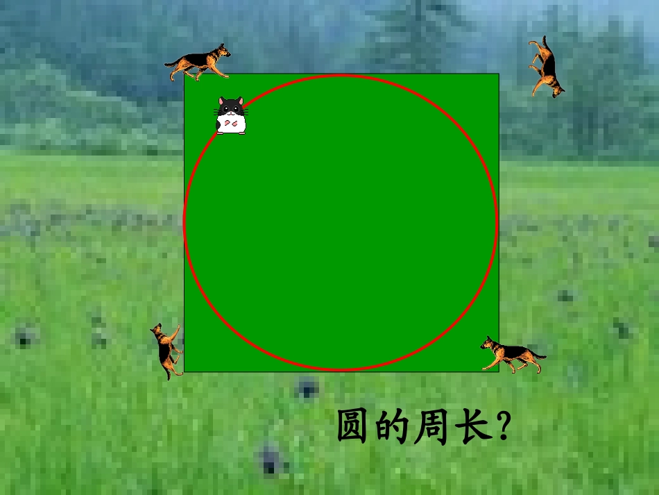 圆的周长课件 (2)_第2页