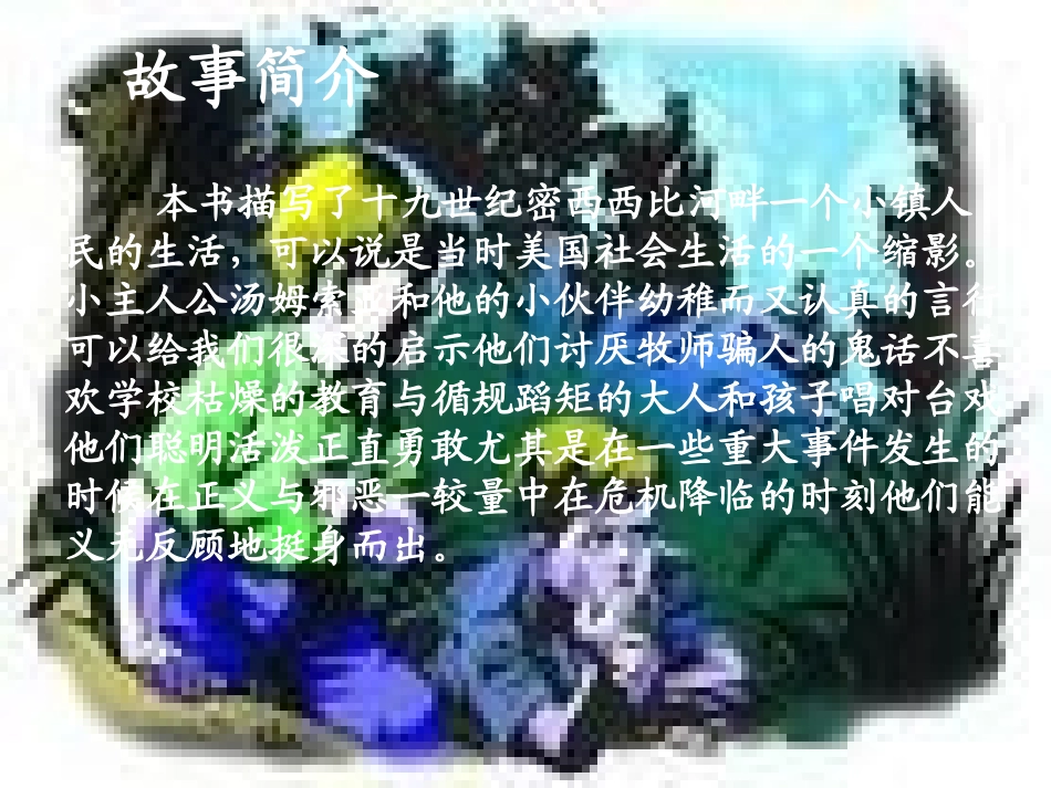 汤姆索亚历险记_第2页