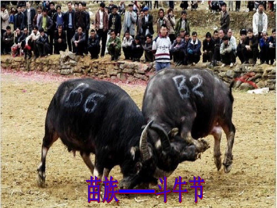 赛马三月街全课时_第3页