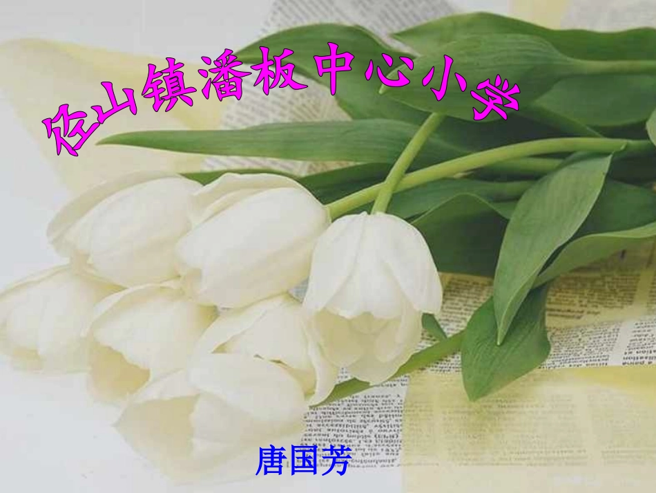 唐—可爱的草塘_第1页