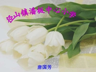 唐—可爱的草塘