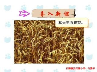 三年级上册语文——9古诗两首