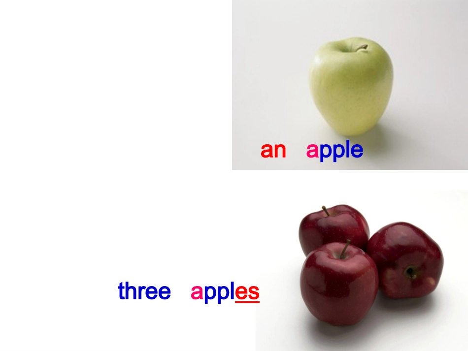 七年级上UNIT6课件_第3页