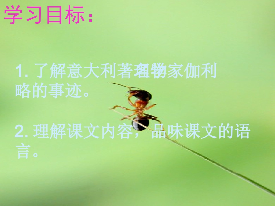 七年级语文上册 《斜塔上的实验》 苏教版_第2页