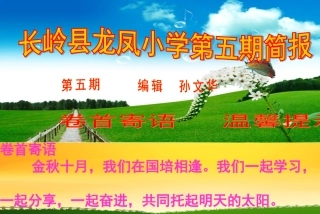 龙凤小学第五期