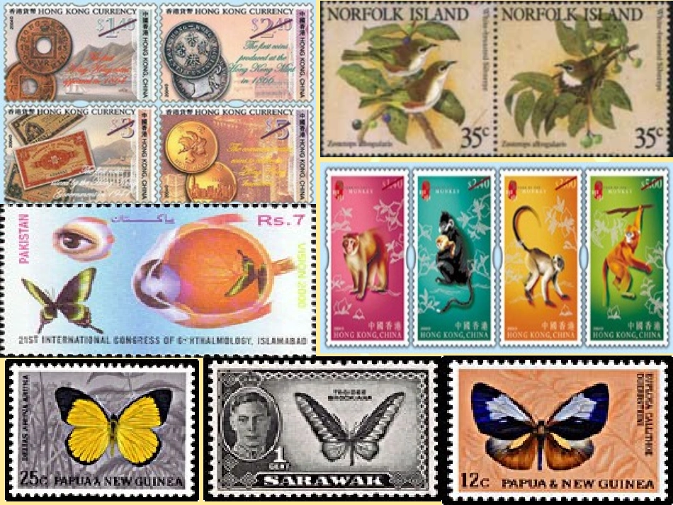 新目标八年级英语下册Unit6课件_第3页