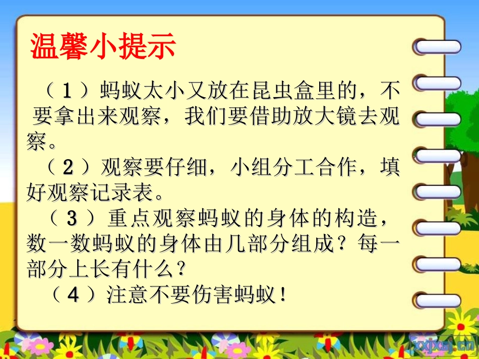 三年级科学《探访蚂蚁》_第2页