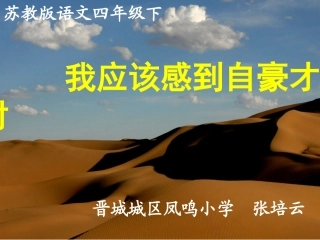我感到自豪才对