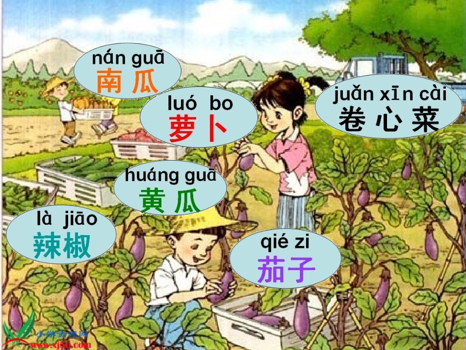 一年级语文上册 菜园里课件 人教新课标版_第2页