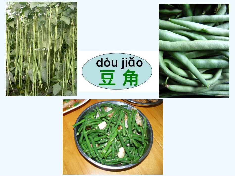 一年级语文上册 菜园里课件 人教新课标版_第3页