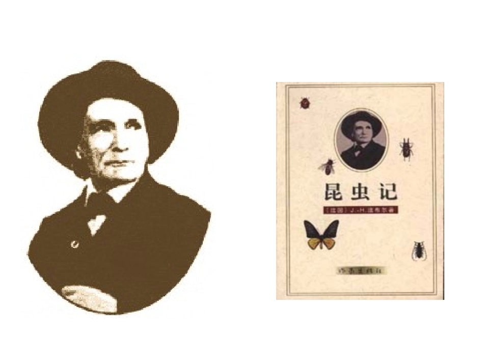 绿色蝈蝈 (2)_第2页