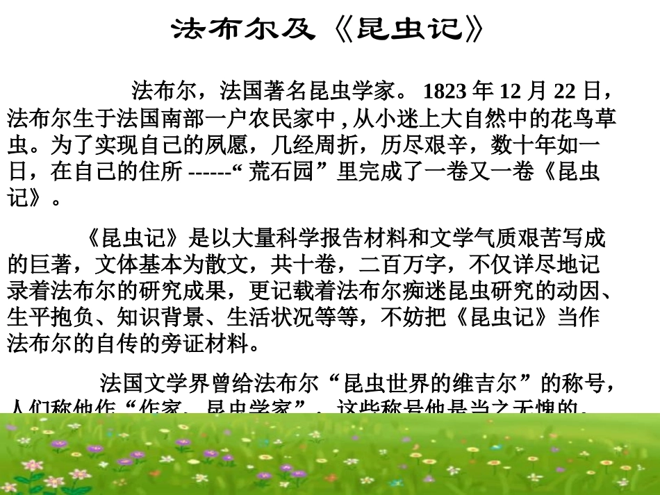 绿色蝈蝈 (2)_第3页