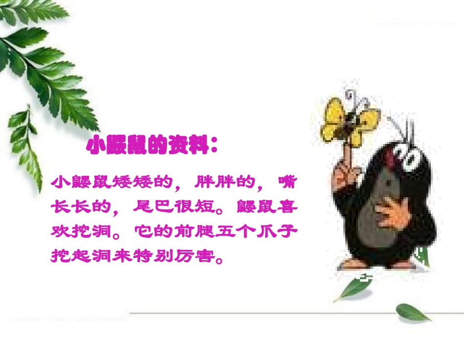 一年级上-小松鼠找花生_第2页