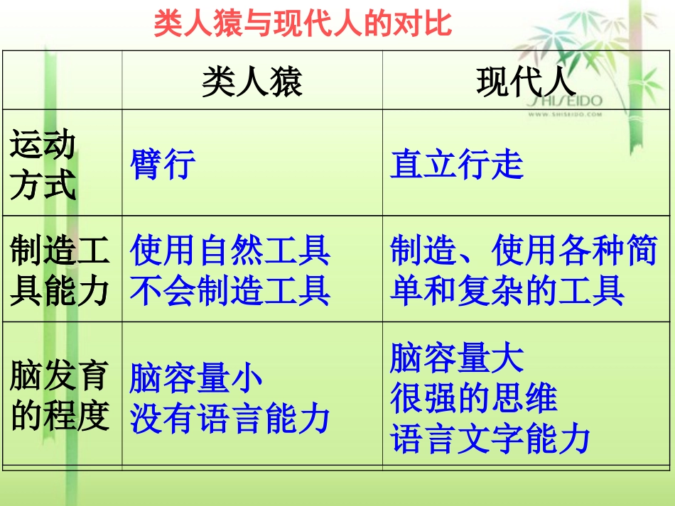 新人教版七年级生物下册第一章人的由来复习课件_第3页