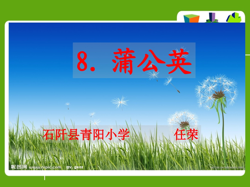 蒲公英 (2)_第1页