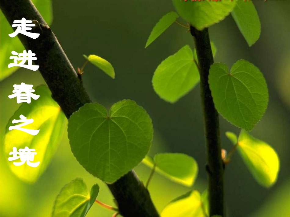 七年级语文上册 第三单元第11课 《春》课件 人教新课标版_第2页