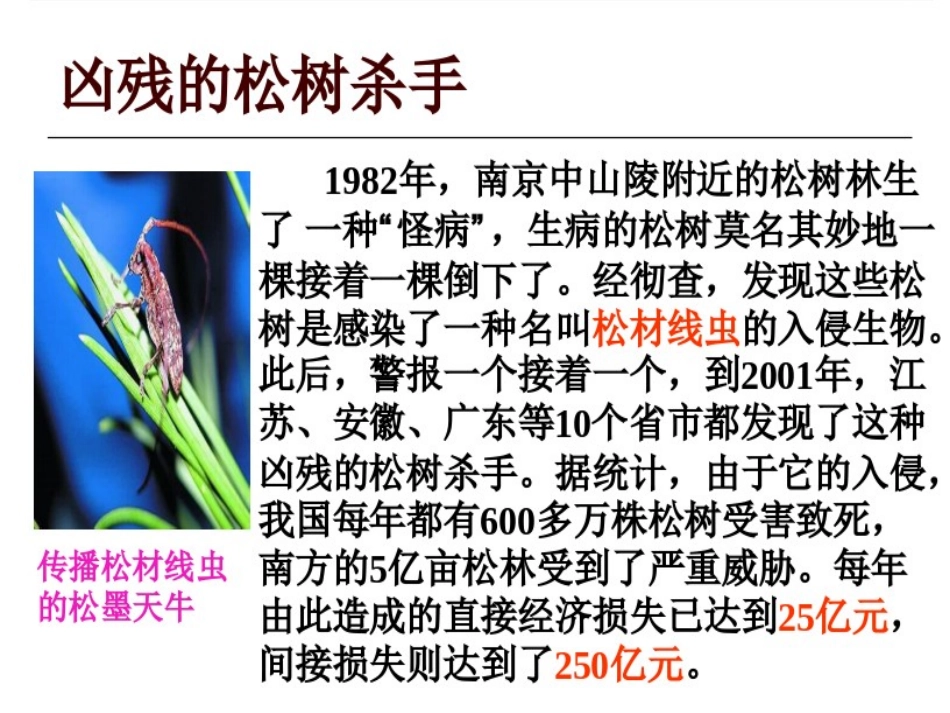 生物的入侵者_第3页