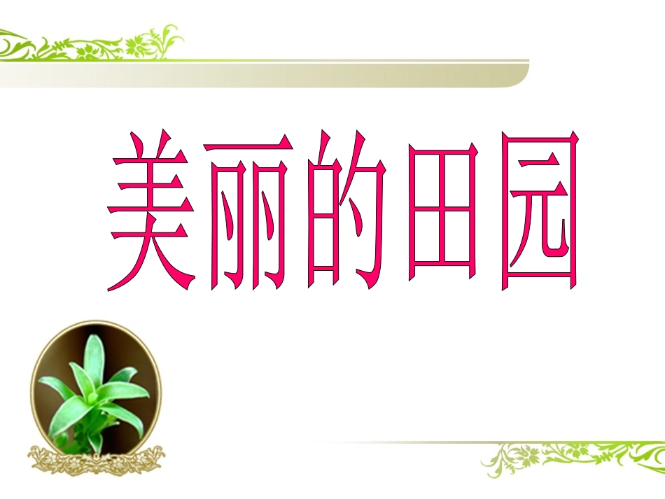 美丽的田园一飞_第3页