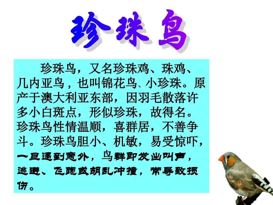 珍珠鸟2 (2)_第2页