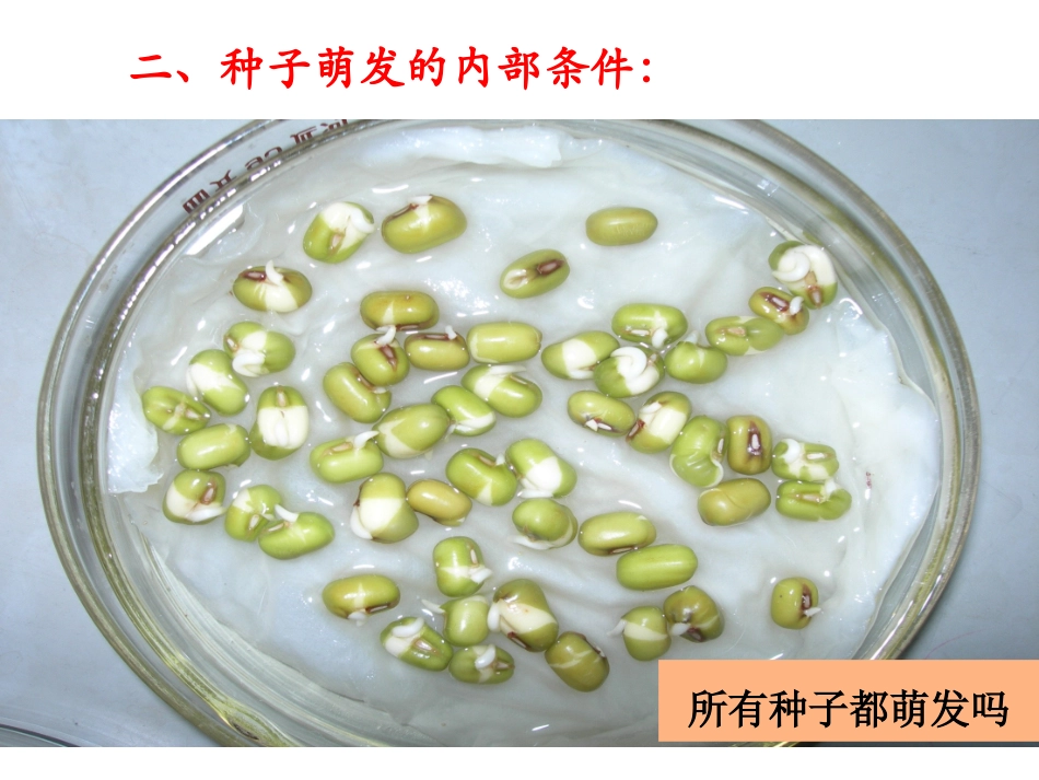 种子的萌发1_第1页