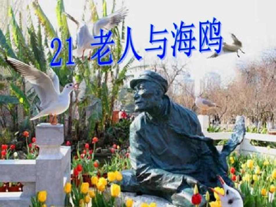 老人与海鸥 (12)_第2页