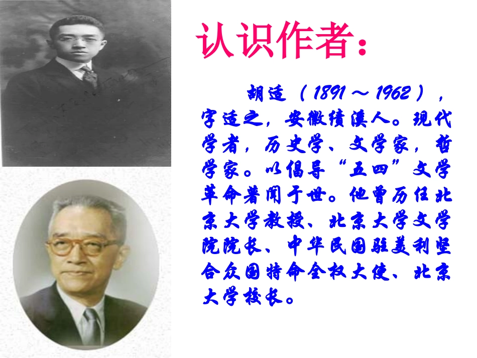 我的母亲 (2)_第3页