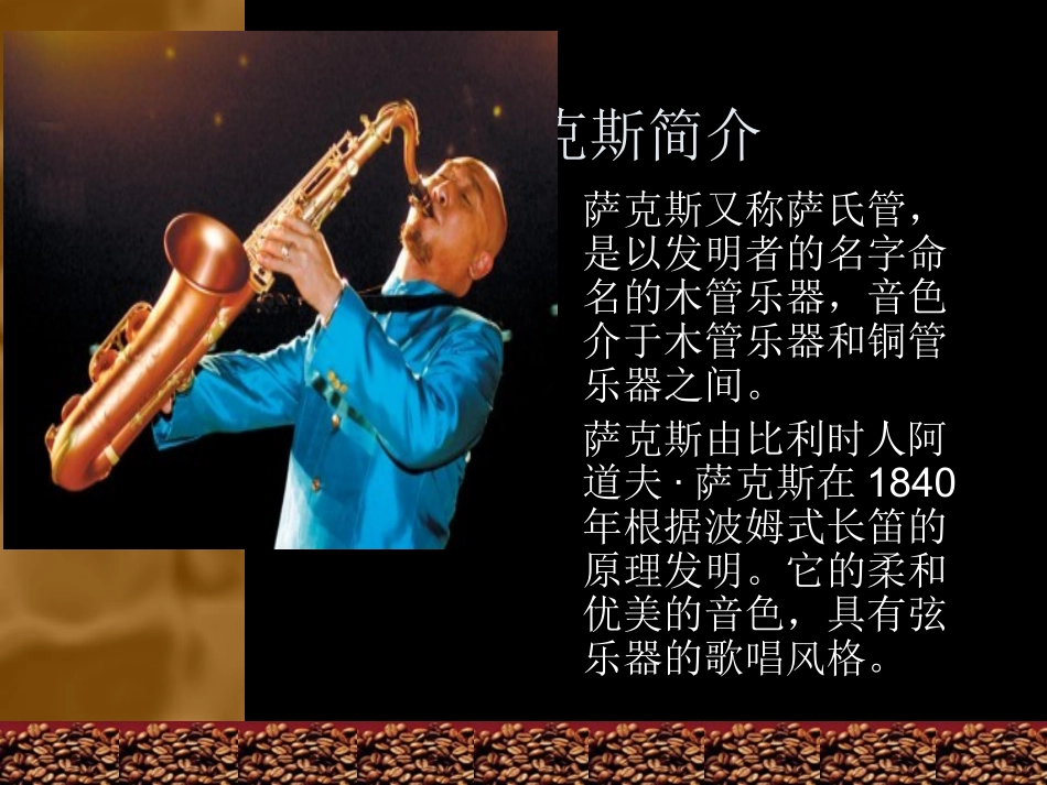 萨格斯回家欣赏_第2页