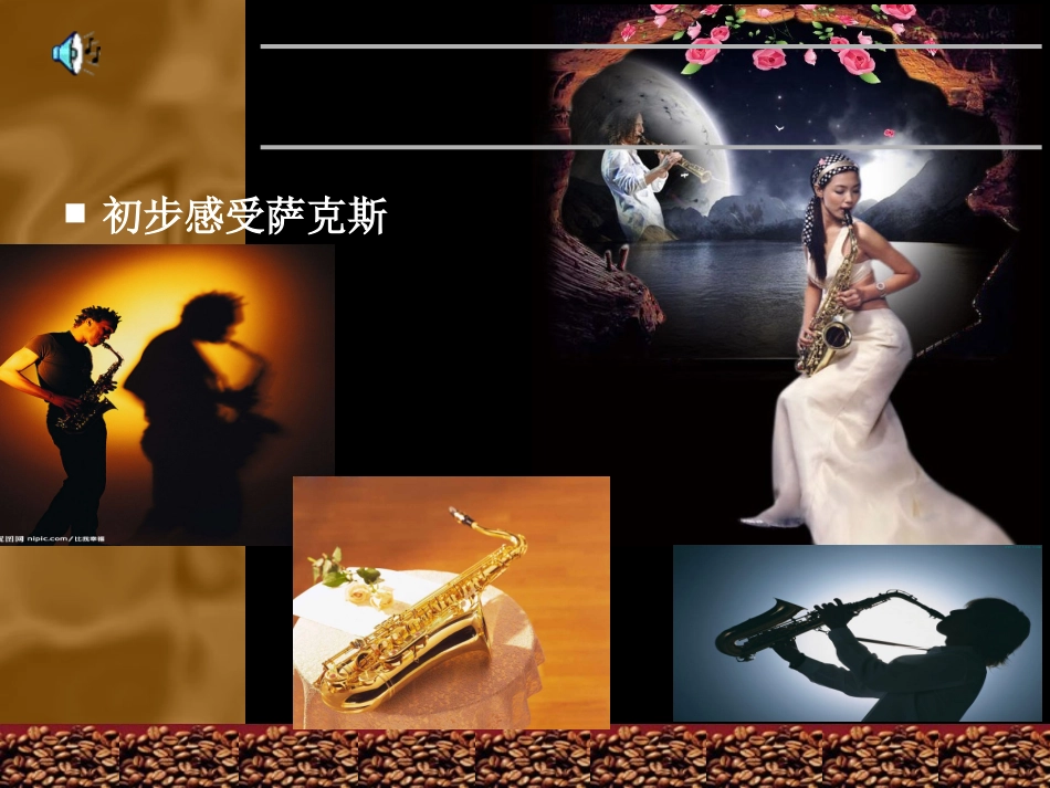 萨格斯回家欣赏_第3页