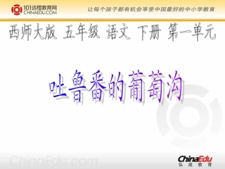 西师大版小学五下《吐鲁番的葡萄沟》课件1