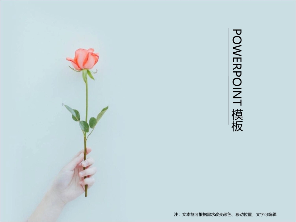 一枝花模板 (2)_第1页